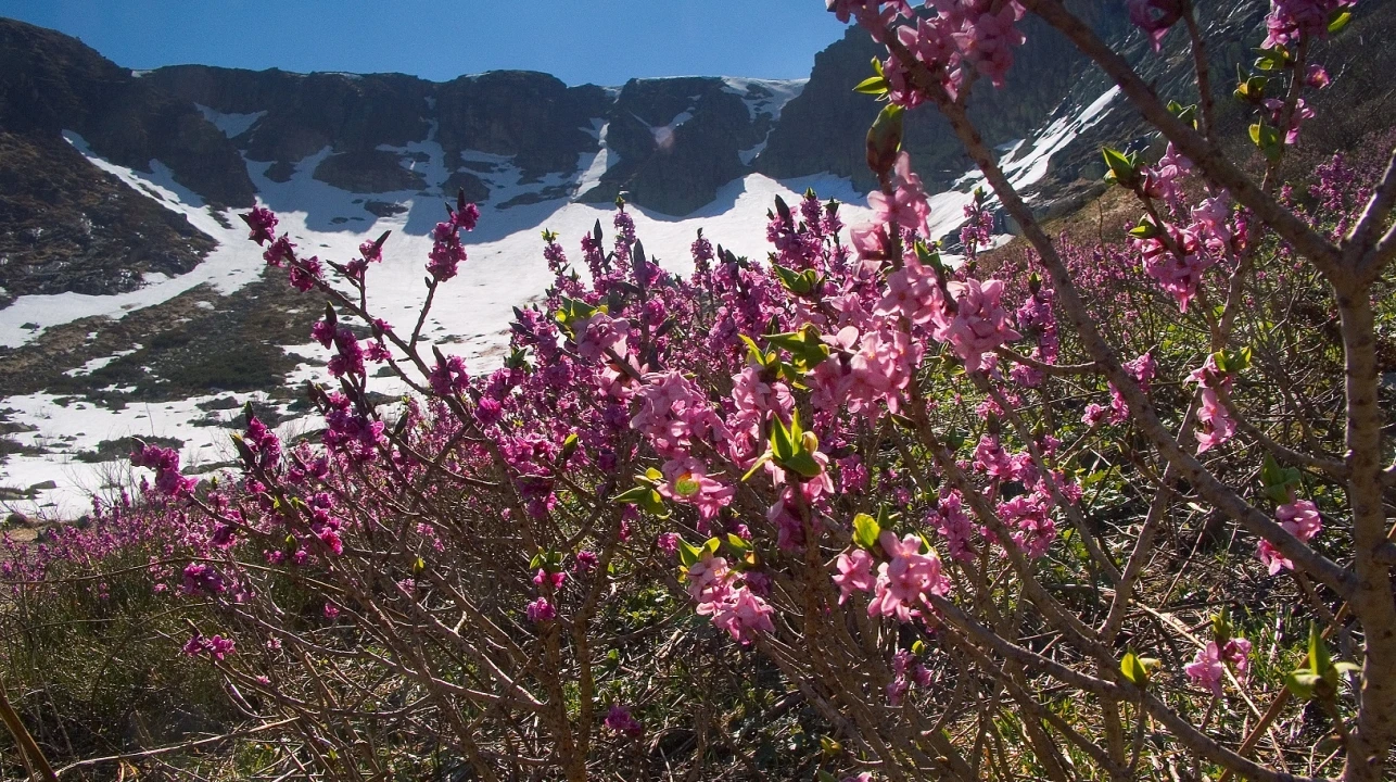 Śnieżne Kotły i ich mikroklimat