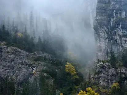 Dolina Chochołowska i wiosenne krokusy
